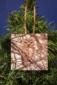 Saw-whet Owl Ornament